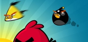 Middle Eastern Angry Birds being discussed