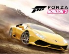 الإعلان عن Forza Horizon 2