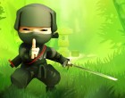 هل Mini Ninjas الجديدة قادمة؟ 